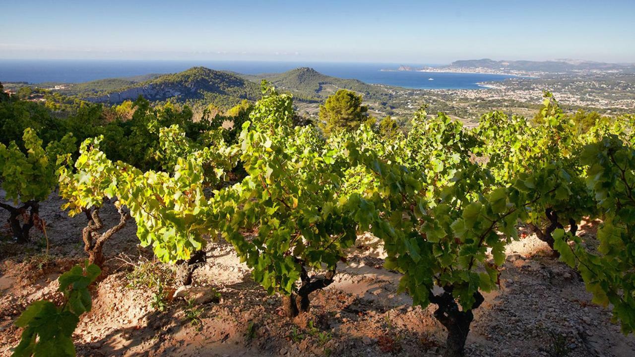 Le Belvedere Bandol Exterior photo